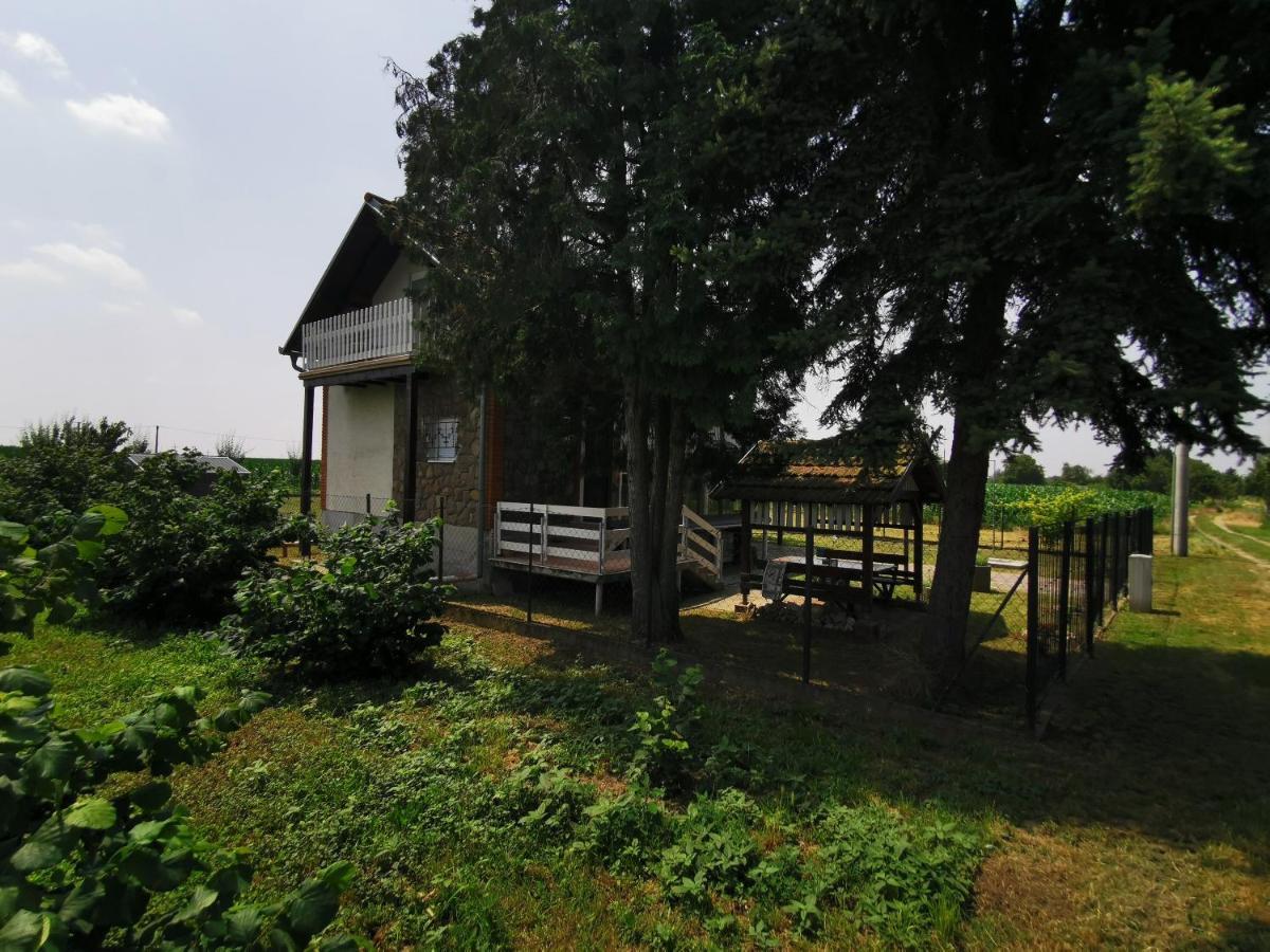 Kuca Za Odmor Bella Villa Sotin Ngoại thất bức ảnh